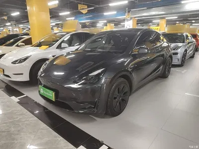2024 Tesla Model Y Rear-Wheel Drive Version, фото 2, лот 10826209