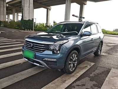 2017 GAC Trumpchi Trumpchi GS8 320T 2WD Luxury Smart Connect (7-seater), фото 1, лот 10422334