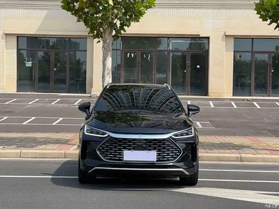 2025 BYD Tang New Energy DM-i 115KM Prestige Type, фото 2, лот 10273269