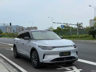 2021 Leapmotor C11 Luxury Edition, фото 1, лот 10316672