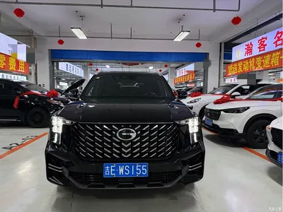 2024 GAC Trumpchi Trumpchi GS8 Navigator Series 2.0TGDI 2WD Luxury Smart Connect Edition, фото 2, лот 10420097