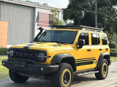 2022 Tank 300 2.0T Border Limited Edition, фото 1, лот 11018193