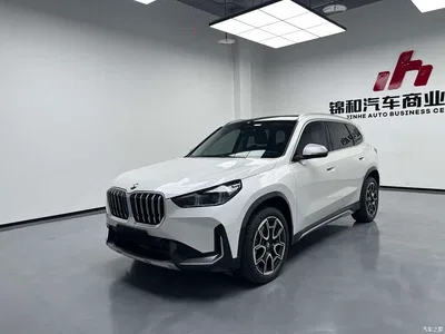 2024 BMW X1 xDrive25Li X Design Package, фото 1, лот 10307172