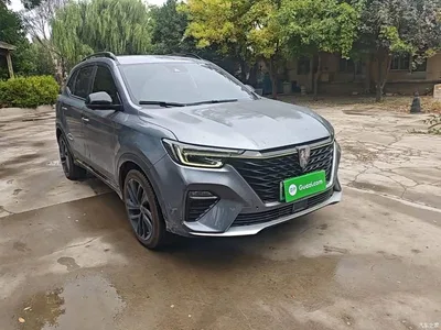 2020 Roewe RX5 New Energy ePLUS Guochao Ronglin Flagship Edition, фото 4, лот 11179345