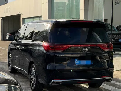 2019 GAC Trumpchi Trumpchi M8 320T Ultimate Edition, фото 3, лот 10416566
