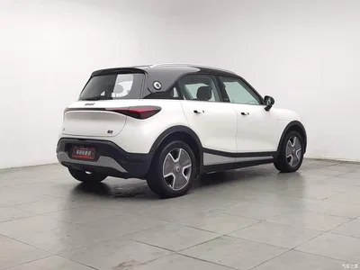 2022 smart Elf #1 Pro+ Edition, фото 2, лот 10826296