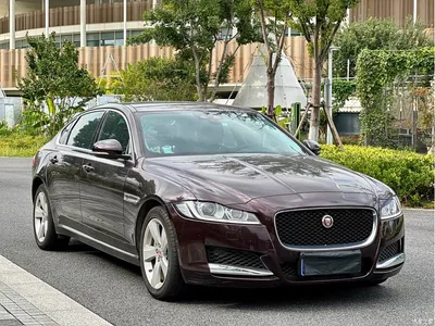 2020 Jaguar XFL 2.0T P200 2WD Elite Edition, фото 3, лот 10422706