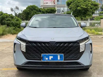 2023 Venucia Big V 260T Idol Edition Pro, фото 2, лот 11153681