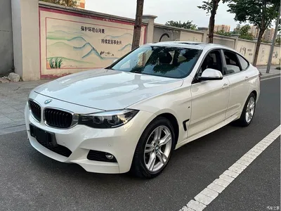 2019 BMW 3 Series GT 320i M Sport Model, фото 1, лот 11140472
