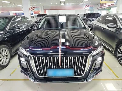 2025 Hongqi H5 1.5T DCT Flag Rhythm 500,000 Units Memorial Edition, фото 3, лот 10390107