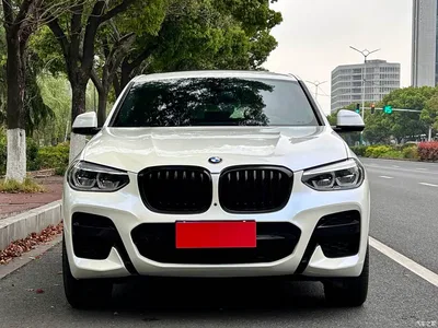 2020 BMW X4 xDrive30i M Sport Package, фото 2, лот 10476807