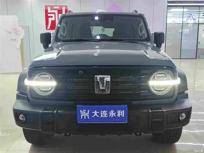 2021 Tank 300 Off-road Version 2.0T Conqueror, фото 2, лот 10450173