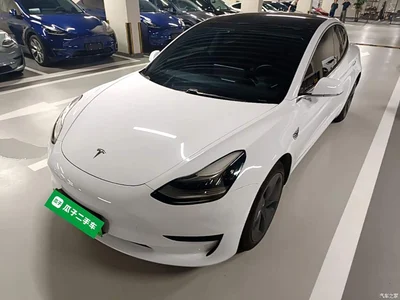2020 Tesla Model 3 Facelift Standard Range RWD Upgrade, фото 1, лот 10370087