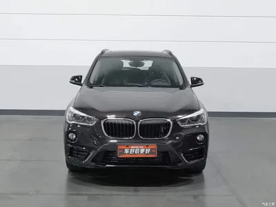 2018 BMW X1 xDrive20Li Luxury Model, фото 3, лот 11492723