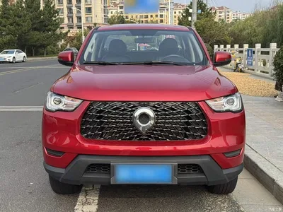 2021 Great Wall Pao 2.0T Commercial Edition Automatic Diesel 2WD Elite Long Box GW4D20M, фото 3, лот 11449165