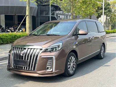 2021 Buick GL8 Land Business Class 652T Luxury, фото 1, лот 10255739