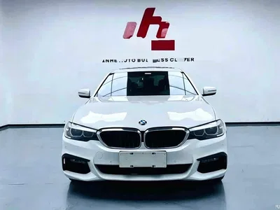 2019 BMW 5 Series 530Li Leading M Sport Package, фото 2, лот 11580307