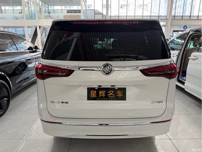 2023 Buick GL8 ES Landmaster Exclusive, фото 4, лот 10258018