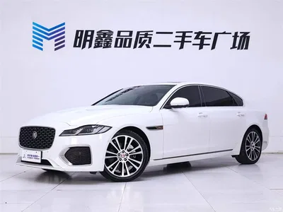 2024 Jaguar XFL 2.0T P250 2WD Premium Luxury, фото 2, лот 10360922