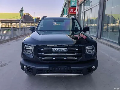 2022 Haval Big Dog 1.5T DCT FWD Border Collie Edition, фото 2, лот 10361768