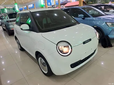 2025 Changan Qiyuan Changan Lumin 205km Fragrant Infusion Edition, фото 4, лот 10407738