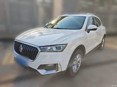 2017 Borgward BX5 Model 20TGDI Automatic 2WD Vanguard Type, фото 1, лот 11579435