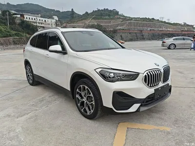 2022 BMW X1 sDrive25Li Leading, фото 4, лот 11191347