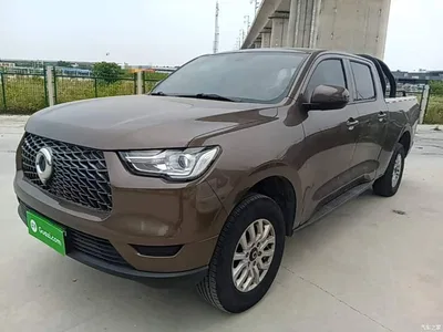2019 Great Wall Pao 2.0T Commercial Version Automatic Gasoline 2WD Elite Long Box GW4C20B, фото 2, лот 10248901