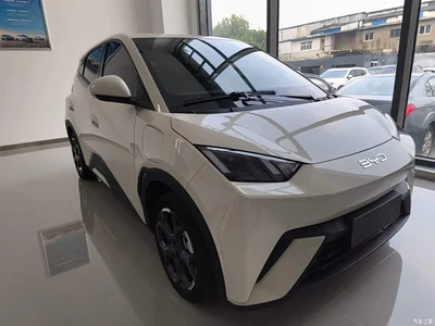 2024 BYD Seagull Glory Edition 405km Soaring Edition, фото 4, лот 10262797