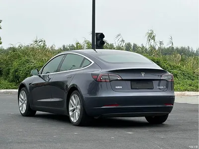 2019 Tesla Model 3 Standard Range Rear-Wheel Drive Upgrade, фото 4, лот 11195348