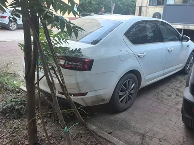 2018 Škoda Octavia TSI230 DSG Comfort Edition, фото 3, лот 10348994