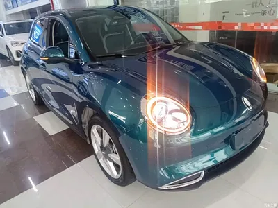 2023 Ora Good Cat 401km Standard Range Comfort LFP, фото 4, лот 10330797
