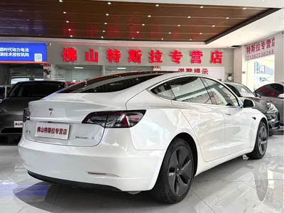 2020 Tesla Model 3 Standard Range Rear-Wheel Drive Upgrade, фото 4, лот 10353809