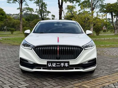 2022 Hongqi H5 Classic Facelift 1.5T DCT Flag Rhythm Edition, фото 2, лот 10287986