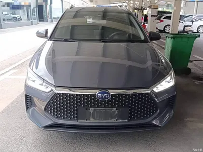 2019 BYD e2 Long Range Yao·Luxury Model, фото 3, лот 10260361