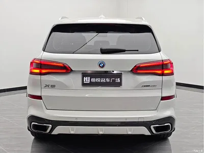 2019 BMW X5 (Import) xDrive40i Exclusive M Sport Package, фото 4, лот 10432171