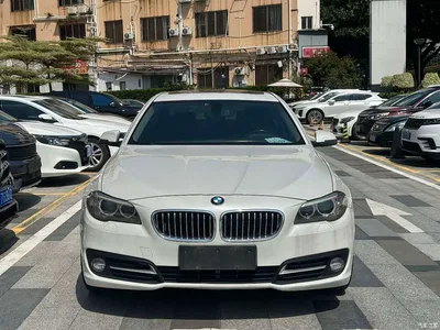 2014 BMW 5 Series 520Li Elegance, фото 2, лот 10606721
