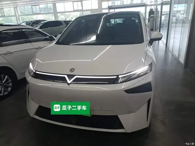 2023 Venucia VX6 Model 520 Max, фото 3, лот 11237934