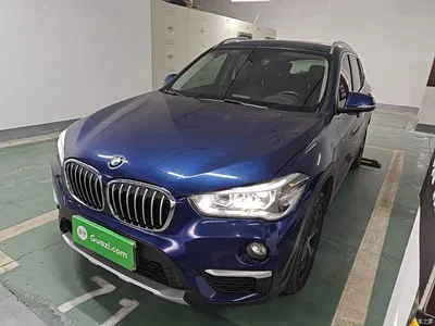 2018 BMW X1 xDrive20Li Premium Model, фото 1, лот 10666505