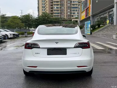 2019 Tesla Model 3 Standard Range Rear-Wheel Drive Upgrade, фото 3, лот 10352631