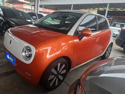 2019 Ora Black Cat 351km Goddess Edition, фото 1, лот 10331555