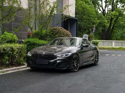 2019 BMW 8 Series 840i Coupe M Sport Package, фото 1, лот 10696561