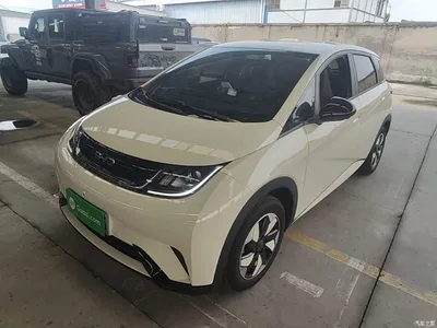 2025 BYD Dolphin 420km Freedom Edition, фото 1, лот 11017927