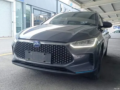 2019 BYD e2 Long Range Yao·Luxury Model, фото 2, лот 10260361