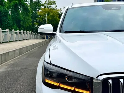 2025 Geely Xingyue L Oriental Glory 2.0TD Automatic Star Collector Edition, фото 4, лот 11448666