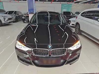 2018 BMW 3 Series 320Li Leading M Sport Package, фото 3, лот 11511722