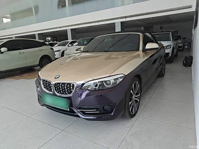 2019 BMW 2 Series (Import) 225i Convertible Coupe Sport Design Package, фото 2, лот 10387977
