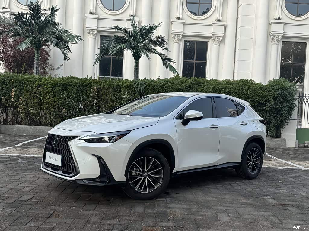 2022 Lexus NX 260 FWD Enjoy Creation Edition, фото 1, лот 11215741