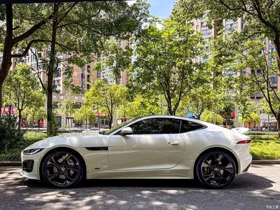 2024 Jaguar F-TYPE P300 75th Anniversary Collector's Hardtop Edition, фото 3, лот 10288935
