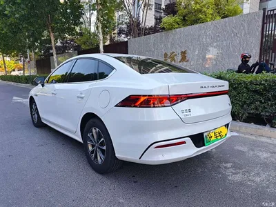 2024 BYD Qin PLUS Glory Edition DM-i 55KM Leading, фото 4, лот 10445692